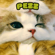 Pezz's profile picture