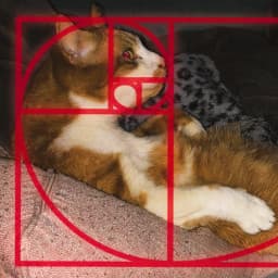 rudj's profile picture