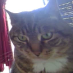 Rykic's profile picture