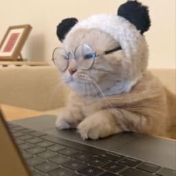 Bastaku's profile picture