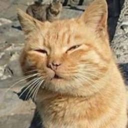 SERBIATRUCKER13's profile picture
