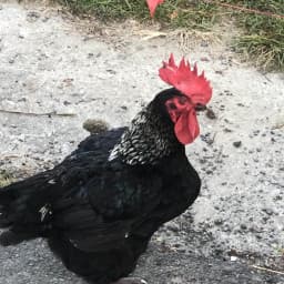 willy0214's profile picture